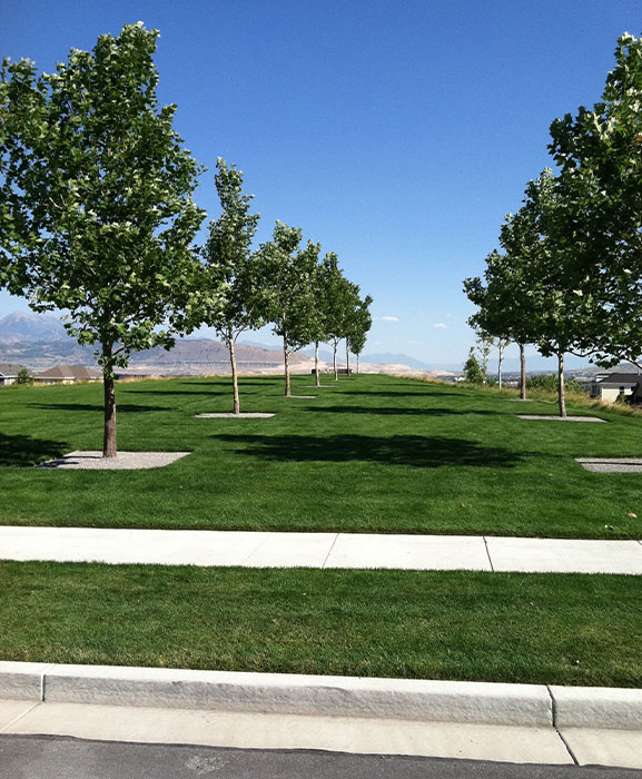 Maintenance Trees