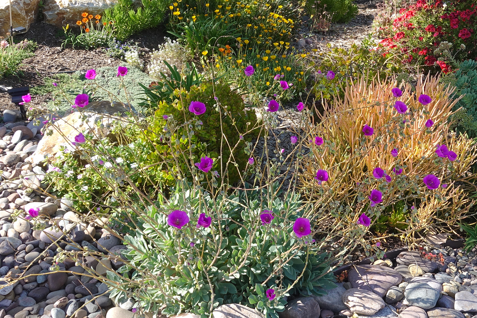 cusotm planter boxes